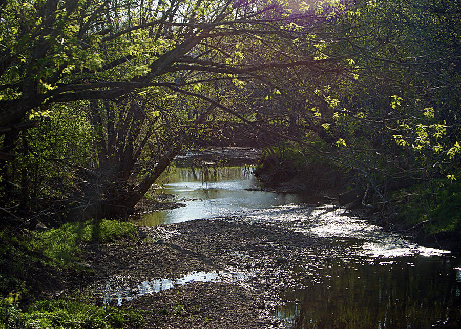 Spring Photograph - Bonne Femme Creek by Cricket Hackmann