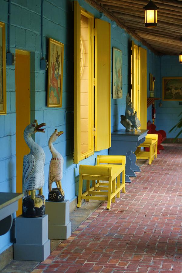 Bonnet House FT Lauderdale Photograph by Chuck Hicks - Fine Art America