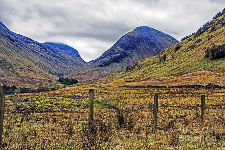 Nature Photograph - Bonny Scotland by Elvis Vaughn