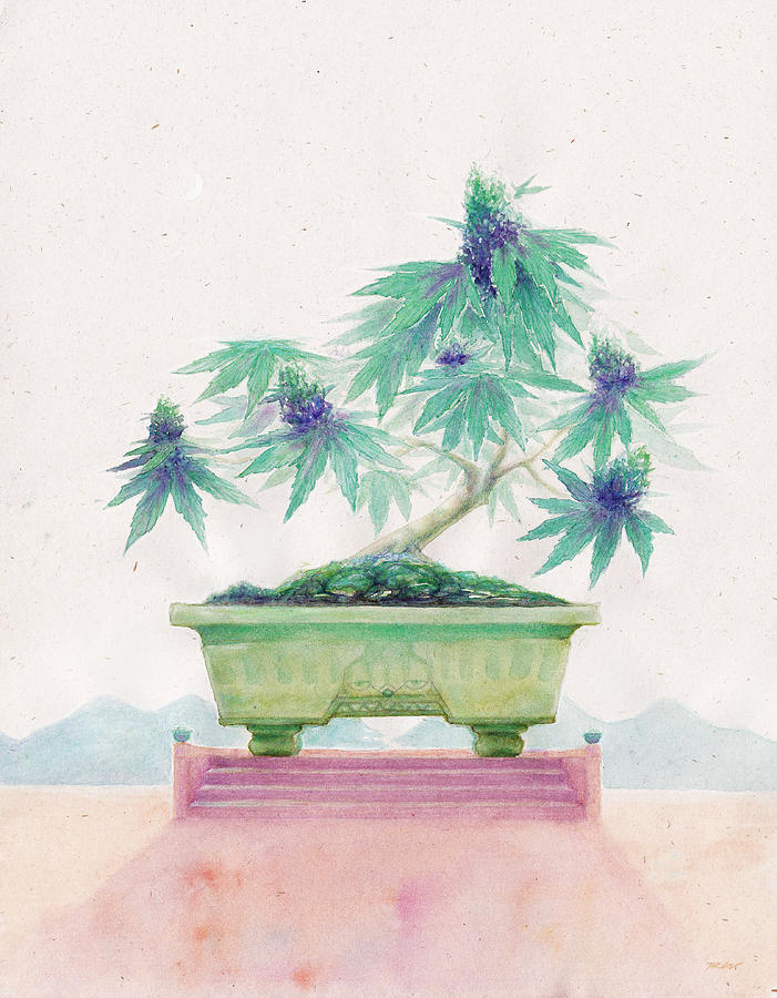 Tree Painting - Bonsai Cannabis by Raymond Lee Junior Warfield