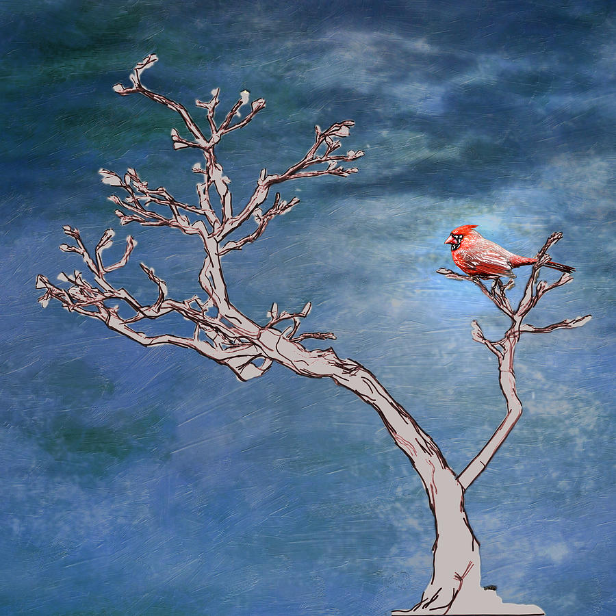 Cardinal Digital Art - Bonsai Cardinal by John Haldane