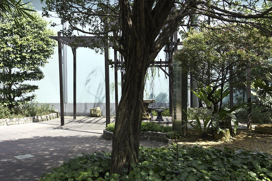 Bonsai Garden in Sunetc City in Singapore Photograph by Ashish Agarwal