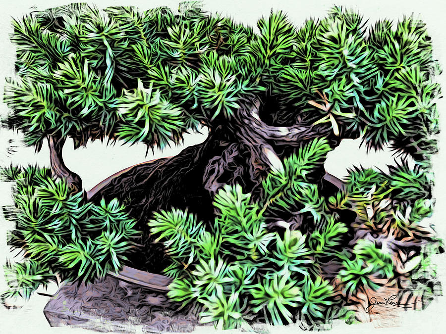 Bonsai Pine Tree  Painting by Joan Reese