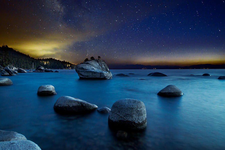Bonsai Rock Photograph by Dustin LeFevre
