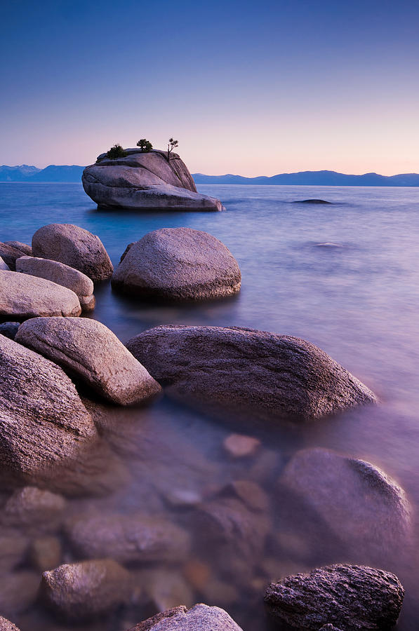 Bonsai Rock Photograph by Photograph By Quan Yuan