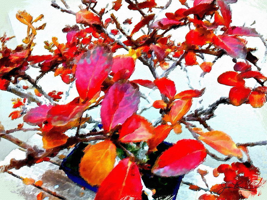 Nature Painting - Bonsai Tree with Red Leaves by Joan Reese
