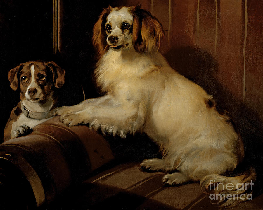 Dog Painting - Bony and Var by Edwin Landseer