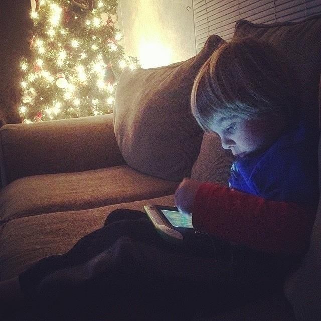 Blessed Photograph - Boo Boo Enjoying His New Tablet Thanks by Nicole Spagnola
