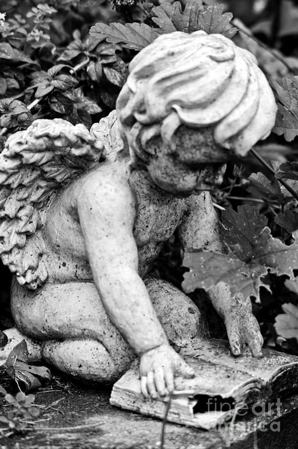 Book Angel Photograph by Cheryl Baxter