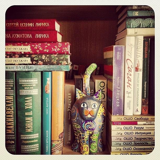 Book Photograph - Book #book #bookshelf #cat by Marina Boitmane