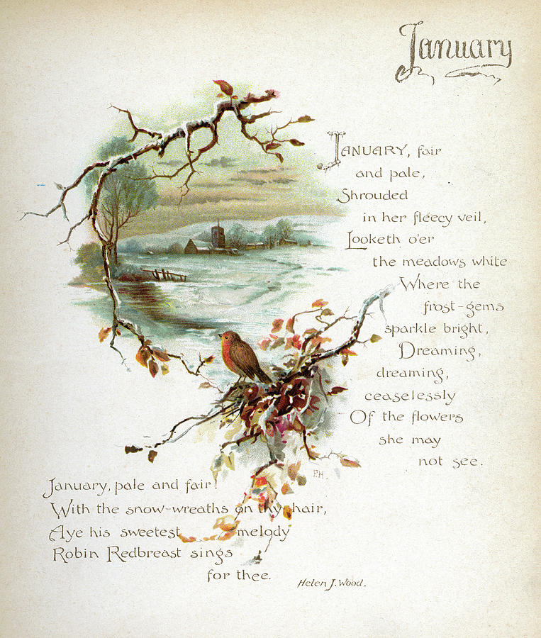 Book Illustration -- January Drawing by Mary Evans Picture Library ...