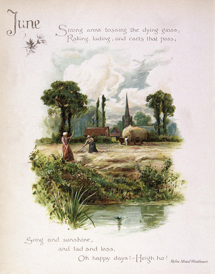 Farm Drawing - Book Illustration -- June by Mary Evans Picture Library