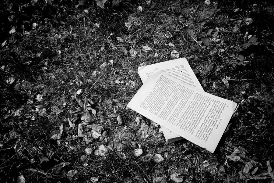 Book In Grass Photograph