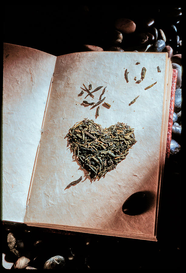 Book of Hearts Photograph by Matthew Pace