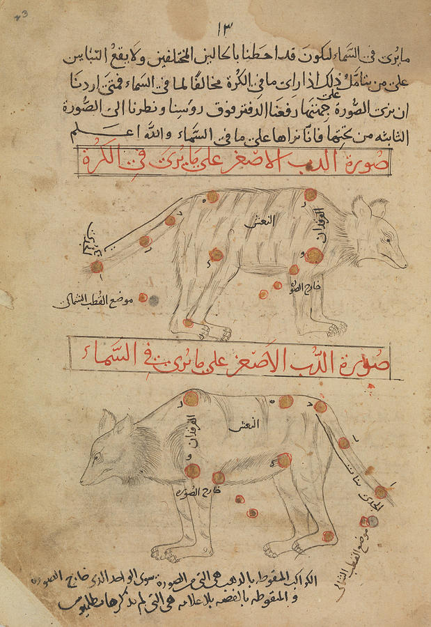 Ottoman Painting - Book of the Images of the Fixed Stars by Celestial Images