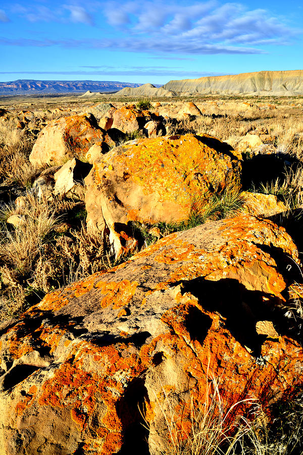Book Cliffs 15 Photograph by Ray Mathis Book Cliffs 15 Photograph by Ray Mathis