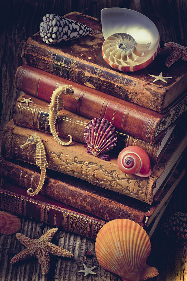 Book Photograph - Books and sea shells by Garry Gay