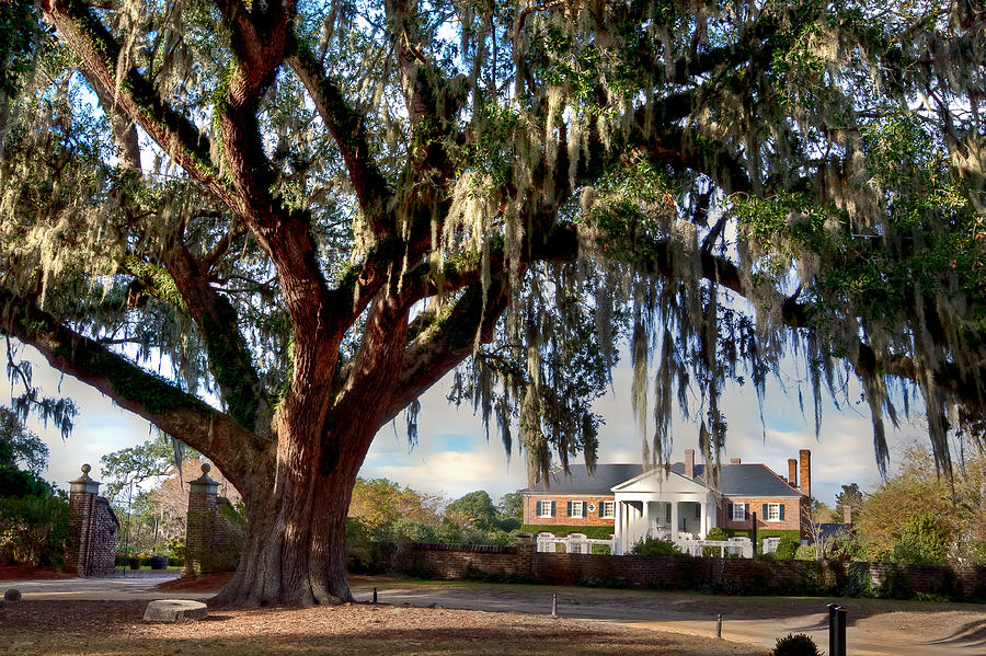 Boone Hall Mansion Photograph by Walt  Baker