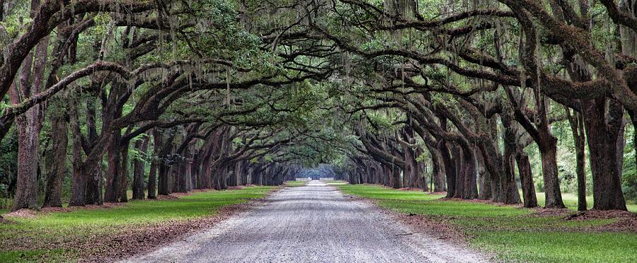 Boone Hall Plantation Photograph by Esther Branderhorst