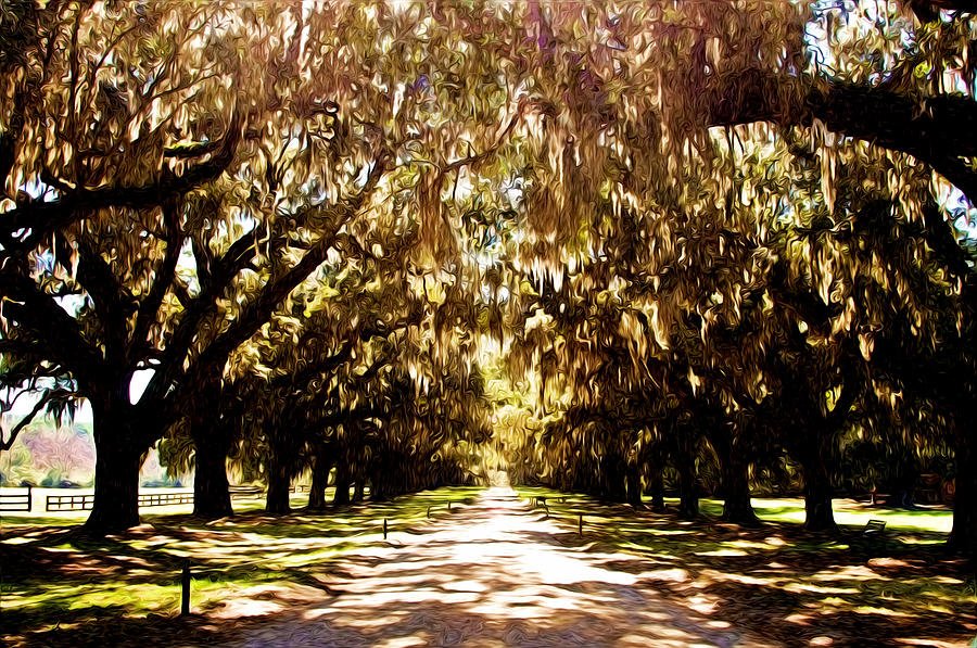 Boone Plantation Photograph by Bill Howard