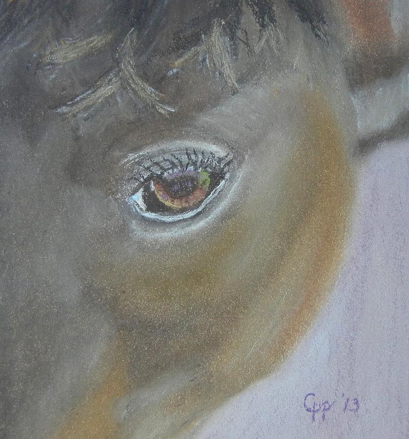 Horse Painting - Boost My Ego by Cathy Pierce Payne