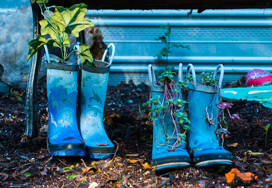 Boot Photograph - Boot Planters by Ron Roberts