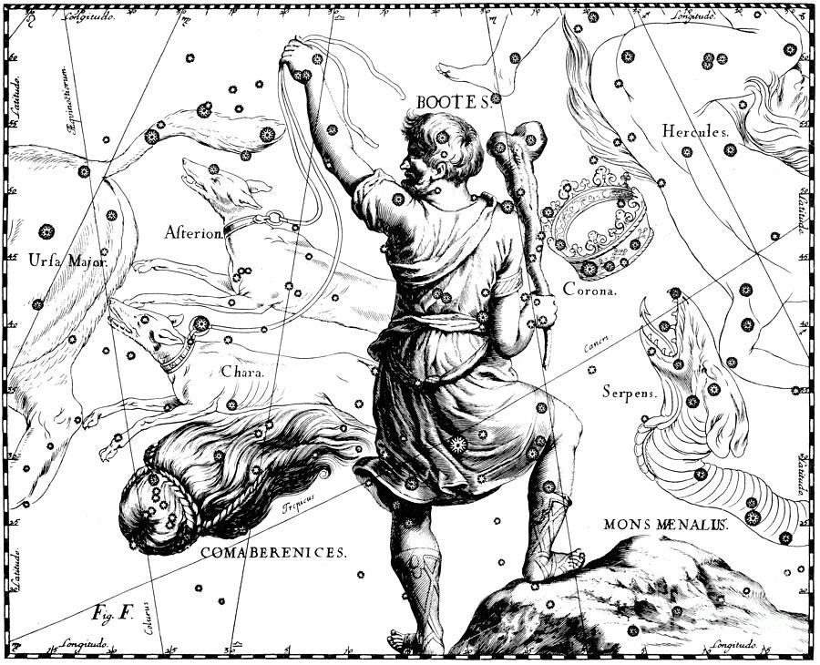 Science Photograph - Bootes Constellation, Hevelius, 1687 by Science Source