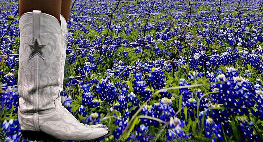 Boots and Bluebonnets Digital Art by Carrie OBrien Sibley