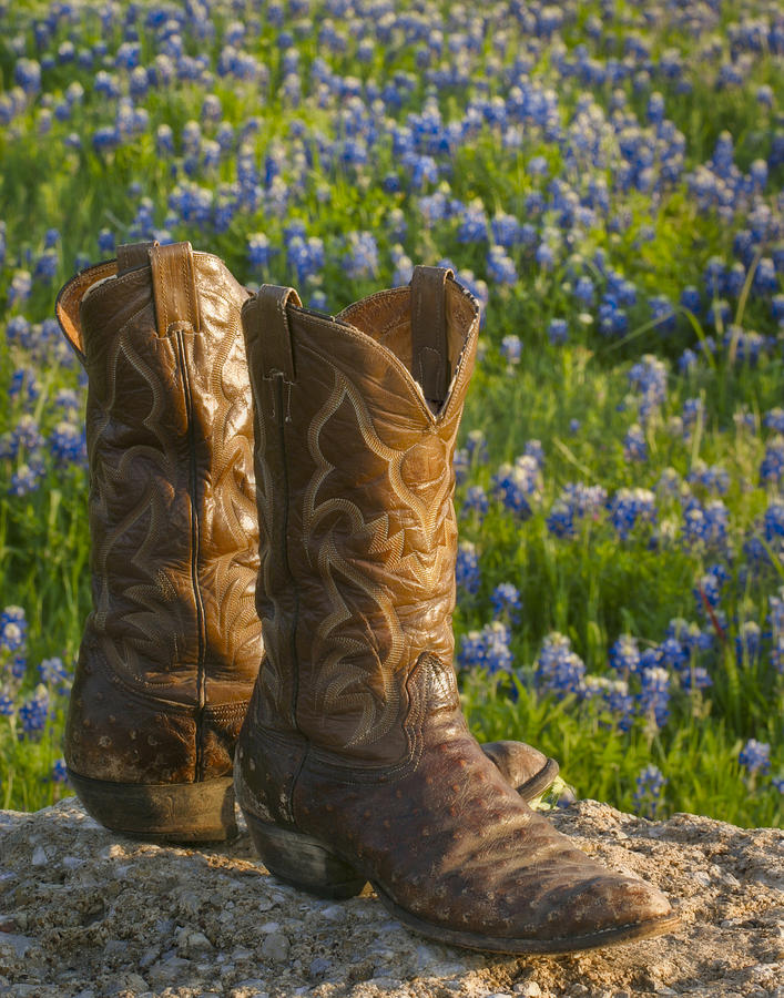 Boot Photograph - Boots and Bluebonnets by David and Carol Kelly