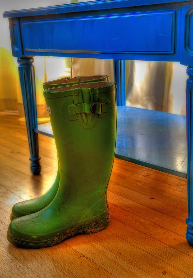 Boots Photograph by Mark Alder