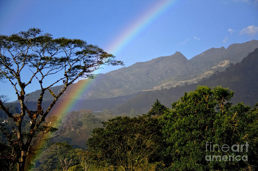 Boquete Rainbow Photograph by Bob Hislop