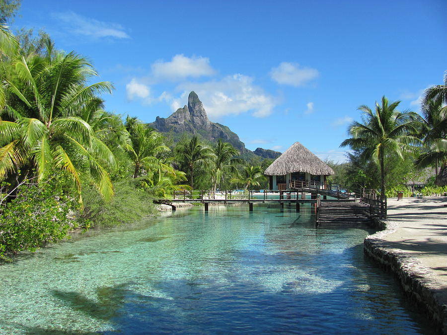 Bora Bora Paradise Photograph by Trent Hullinger - Fine Art America