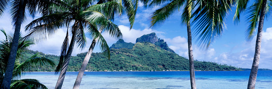 Bora Bora, Tahiti, Polynesia Photograph by Panoramic Images