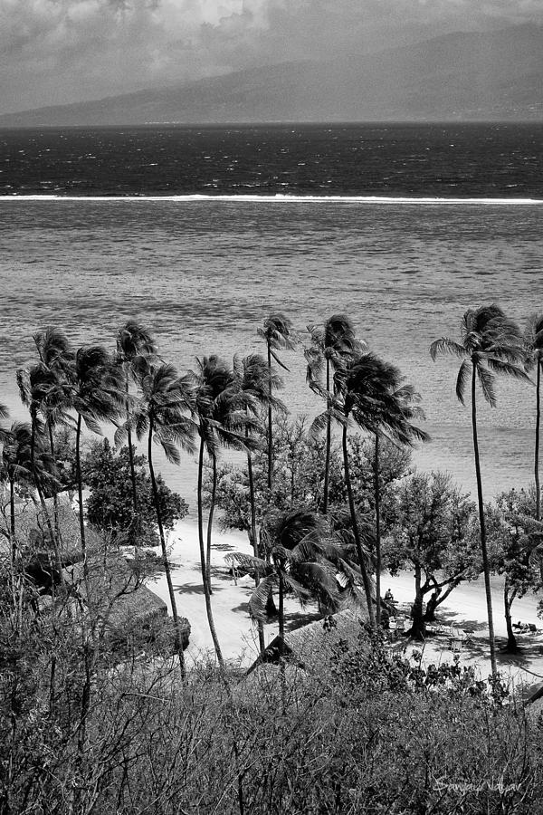 Black And White Photograph - Bora Bora Tahiti white sand beach by Sanjay Nayar