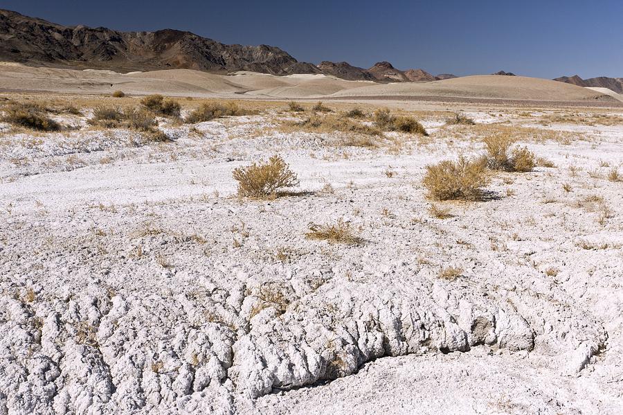 Desert Photograph - Borax-rich soil, Mojave Desert, USA by Science Photo Library