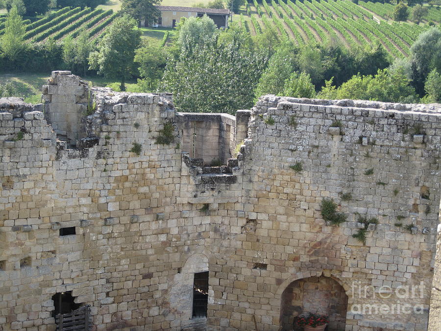 Bordeaux castle ruins with vineyard Photograph by HEVi FineArt