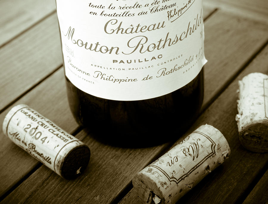 Bordeaux Tasting Photograph by Frank Tschakert