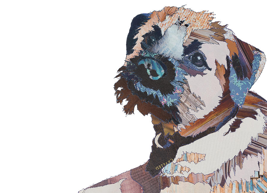 Border Terrier Painting - Border Bert by MGL Meiklejohn Graphics Licensing