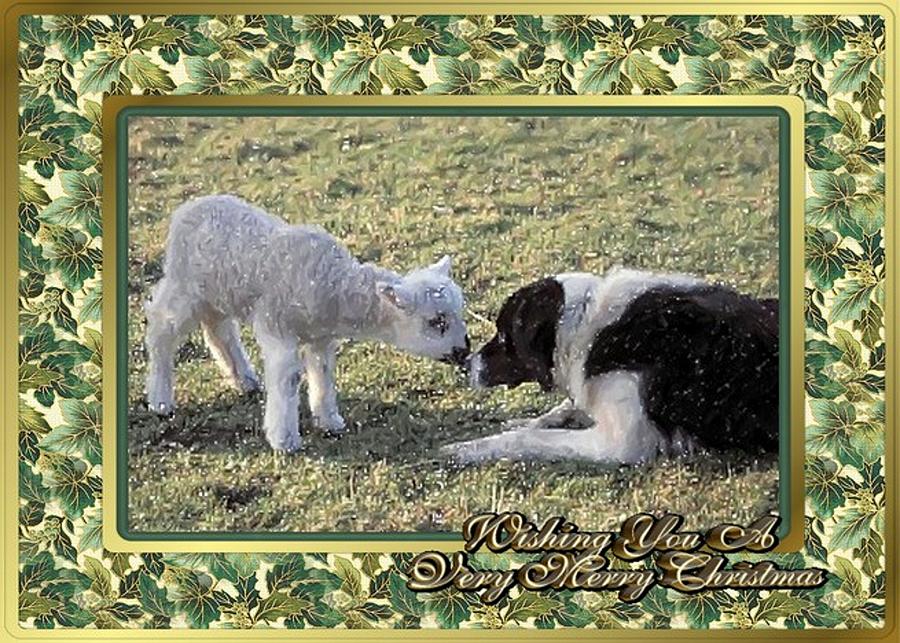 Border Collie And Lamb Christmas Pastel by Olde Time  Mercantile