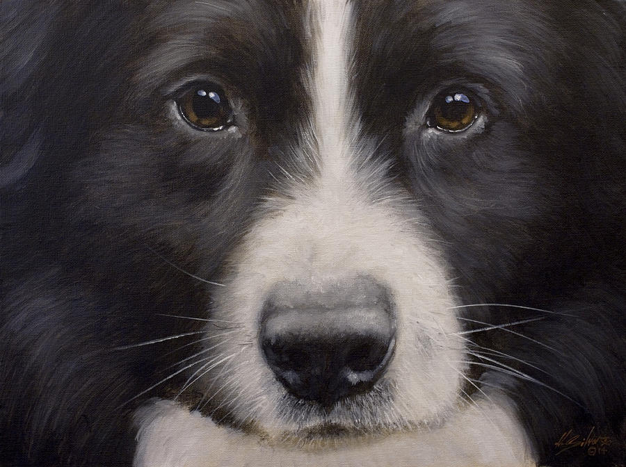 Border Collie Close up Painting by John Silver