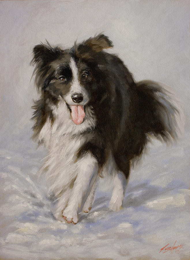 Border Collie portrait I Painting by John Silver