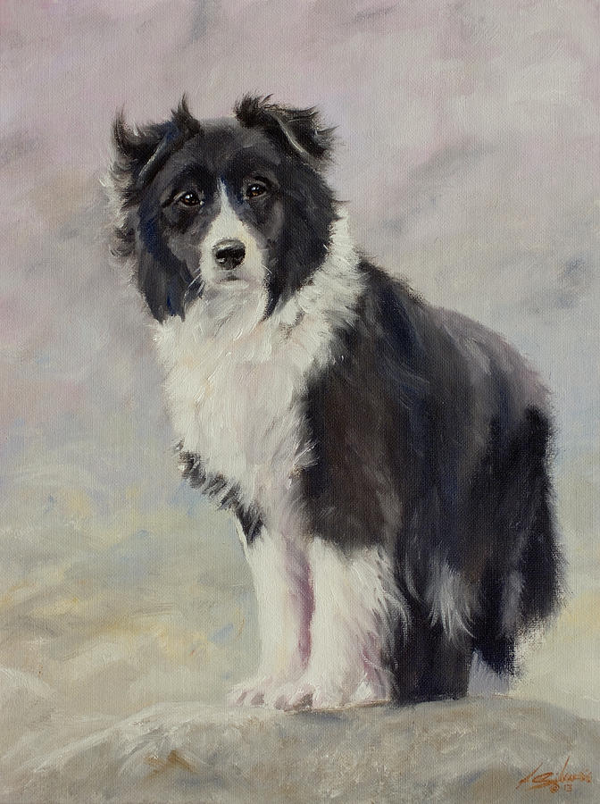 Border Collie portrait III Painting by John Silver