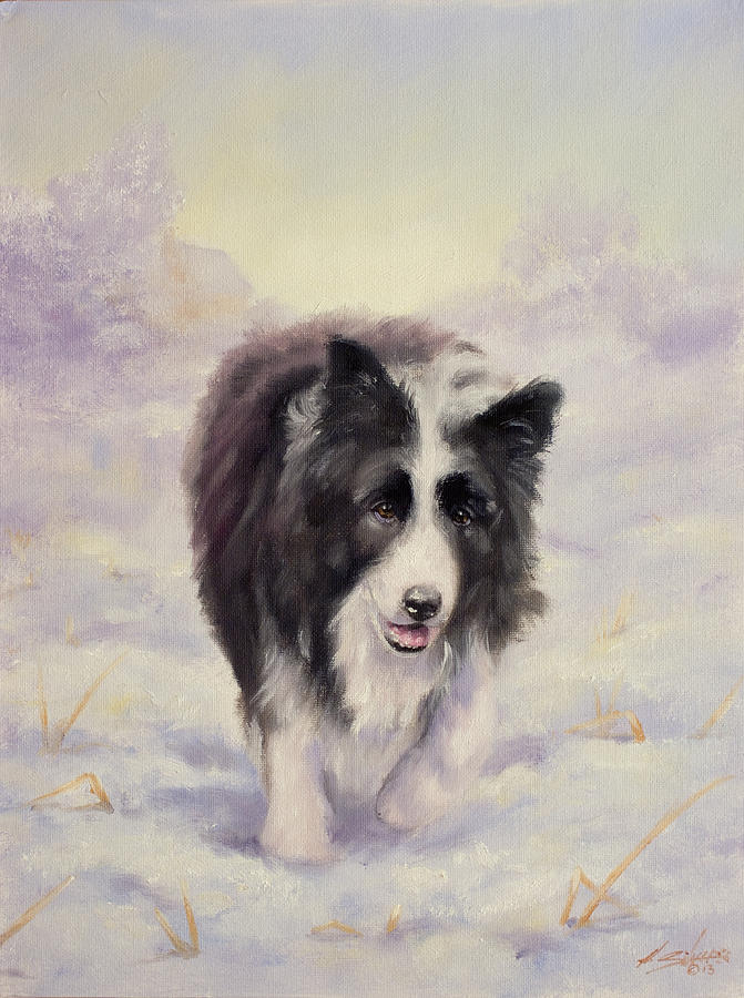 Border Collie portrait V Painting by John Silver