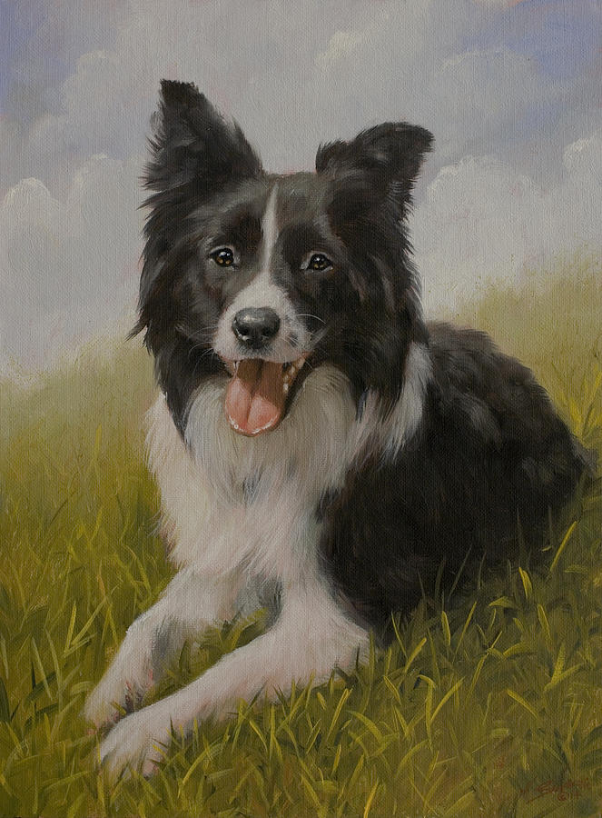 Winter Painting - Border Collie portrait VII by John Silver