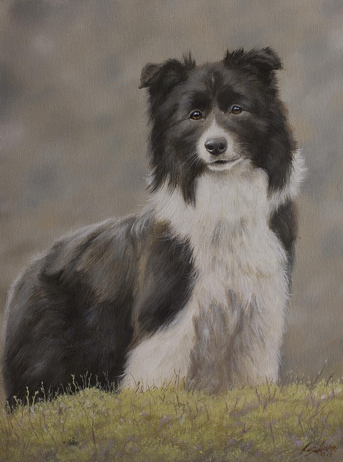 Border Collie portrait VIII Painting by John Silver