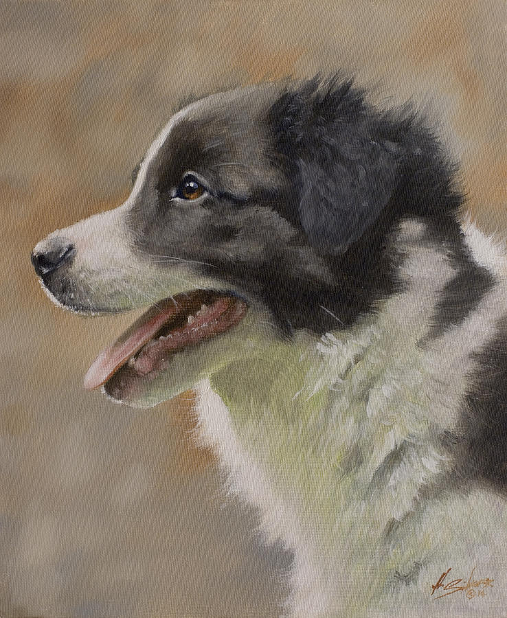 Border Collie pup portrait III Painting by John Silver