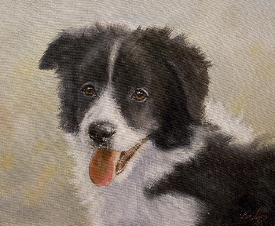 Border Collie pup portrait IV Painting by John Silver