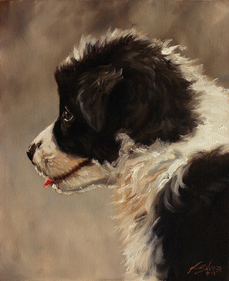 Border Collie pup portrait Painting by John Silver