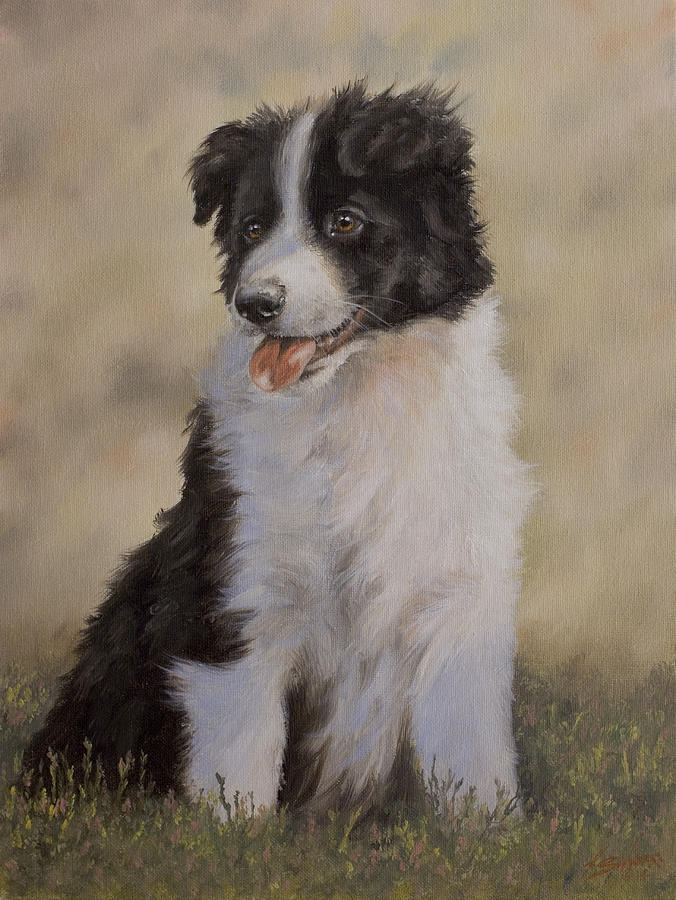 Winter Painting - Border Collie pup portrait V by John Silver