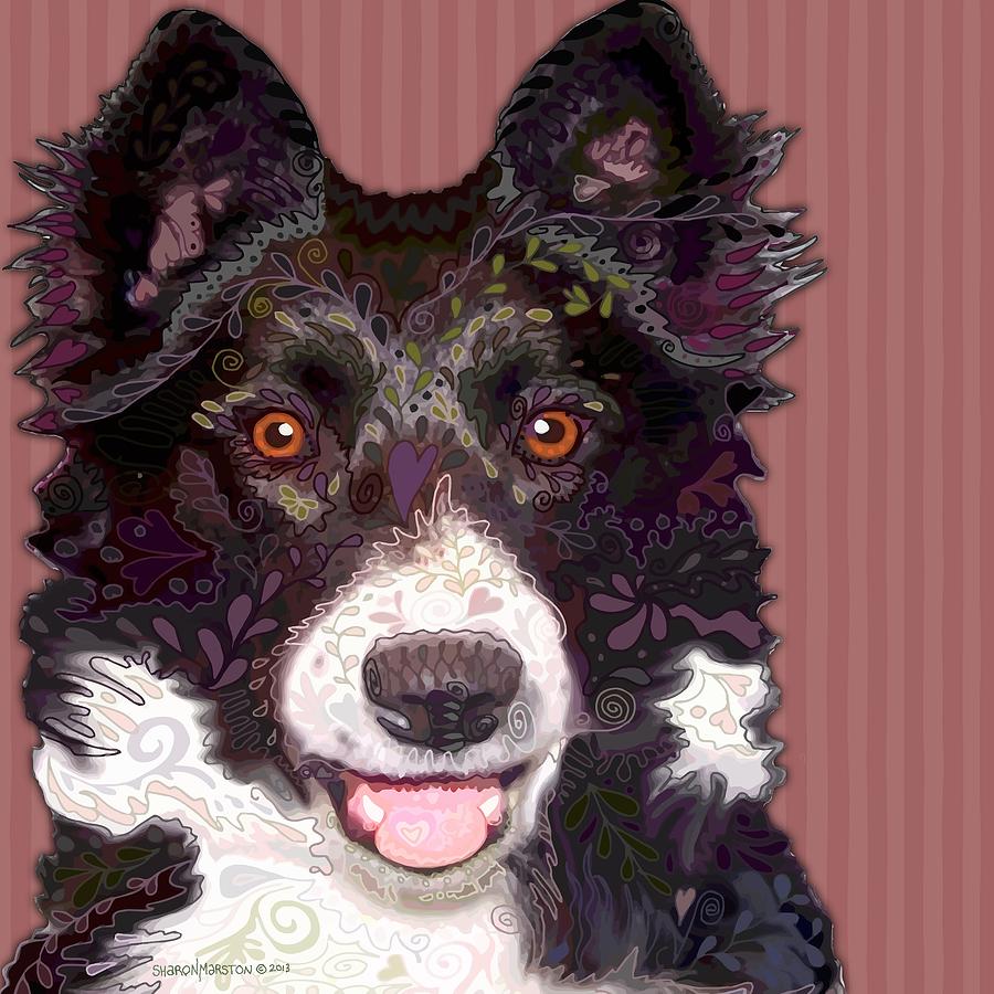 Dog Painting - Border Collie by Sharon Marcella Marston